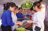 Trung tâm Dịch vụ việc làm tỉnh Quảng Trị: Chú trọng công tác thông tin thị trường lao động hỗ trợ người thất nghiệp tìm việc làm