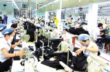 Một số khó khăn, vướng mắc trong thực hiện chính sách bảo hiểm thất nghiệp ở Nghệ An