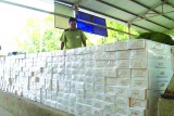 Các doanh nghiệp thuốc lá kiến nghị Chính phủ  tiếp  tục duy trì tiêu hủy thuốc lá nhập lậu bị tịch thu