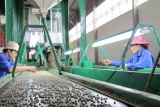 Làm cách nào để giúp cộng Đồng doanh nghiệp Việt Nam chuẩn bị tốt cho Hiệp định Thương mại Tự do EU-Việt Nam