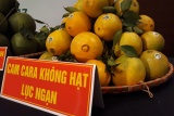 Ngày hội trái cây Lục Ngạn lần thứ hai diễn ra từ ngày 25 - 27/11/2017