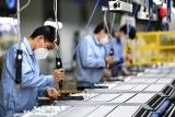 Hòa Bình: Nỗ lực kết nối việc làm cho người lao động