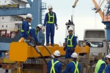 Đề xuất thu thập, lưu trữ, bảo quản và xây dựng cơ sở dữ liệu thông tin thị trường lao động