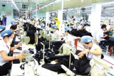 Một số khó khăn, vướng mắc trong thực hiện chính sách bảo hiểm thất nghiệp ở Nghệ An