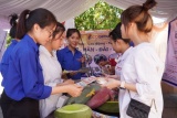 Trung tâm Dịch vụ việc làm tỉnh Quảng Trị: Chú trọng công tác thông tin thị trường lao động hỗ trợ người thất nghiệp tìm việc làm