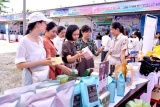 Trung tâm Dịch vụ việc làm tỉnh Kon Tum: Tận tâm kết nối việc làm, đồng hành cùng người lao động vượt khó