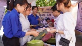 Trung tâm Dịch vụ việc làm tỉnh Quảng Trị: Chú trọng công tác thông tin thị trường lao động hỗ trợ người thất nghiệp tìm việc làm