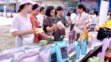 Trung tâm Dịch vụ việc làm tỉnh Kon Tum: Tận tâm kết nối việc làm, đồng hành cùng người lao động vượt khó
