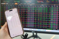 VN-Index chạm vượt mốc 1.300 điểm, cổ phiếu thép đồng loạt 'xanh, tím'