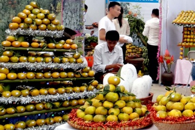 Bắc Kạn: Giới thiệu cam, quýt và sản phẩm OCOP tại Hà Nội