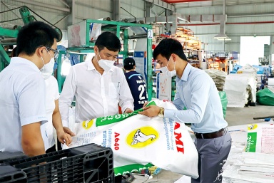Đồng Tháp: Khôi phục việc làm và hỗ trợ người lao động từ Quỹ bảo hiểm thất nghiệp