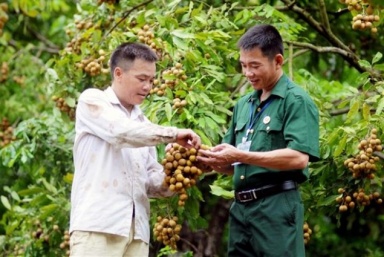 Những mô hình kinh tế hiệu quả của cựu chiến binh huyện Bắc Yên