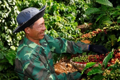 Nestlé công bố kế hoạch NESCAFÉ Plan 2030 hướng đến canh tác bền vững