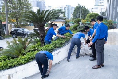 Đoàn viên, thanh niên tại tòa nhà Liên cơ quan D25 Bộ Lao động – Thương binh và Xã hội hưởng ứng Ngày Chủ nhật xanh