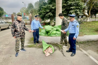 Ngăn chặn nửa tấn móng giò đông lạnh chứa trong bao tải