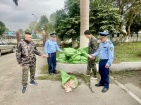 Ngăn chặn nửa tấn móng giò đông lạnh chứa trong bao tải
