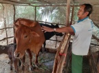 Trà Vinh: Đẩy mạnh truyền thông và giảm nghèo về thông tin