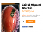 Xoài đỏ xa xỉ nhất thế giới giá 1,7 triệu/kg khiến chị em phát sốt