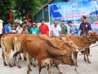 Hà Giang chung tay giúp đỡ nạn nhân bom mìn