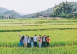 Yên Bái thực hiện đạt các mục tiêu Chương trình phòng, chống mại dâm giai đoạn 2016-2020