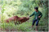 Lạng Sơn: Tăng cường công tác thông tin, truyền thông về giảm nghèo