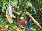 Yên Bái: Huyện Trấn Yên thực hiện hiệu quả chương trình Mục tiêu quốc gia Giảm nghèo bền vững