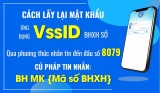 Cấp lại mật khẩu đăng nhập ứng dụng VssID qua phương thức nhắn tin đến đầu số 8079