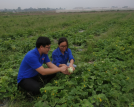 Tỉnh Đoàn Nam Định: Triển khai nhiều mô hình hoạt động hỗ trợ việc làm, khởi nghiệp cho thanh niên