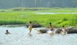 Bắc Ninh tăng cường công tác phòng, chống tai nạn thương tích, phòng, chống đuối nước trẻ em