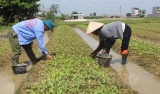 Hải Dương tập trung thực hiện các mô hình giảm nghèo