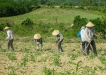 Quảng Ngãi: Đẩy mạnh công tác tuyên truyền, kiểm tra giám sát Chương trình mục tiêu quốc gia giảm nghèo