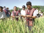 Bình Định: Đẩy mạnh giảm nghèo vùng đồng bào dân tộc thiểu số