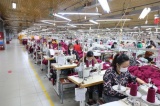 Hưng Yên: Đẩy mạnh công tác tuyên truyền, hướng dẫn thực hiện chính sách bảo hiểm thất nghiệp