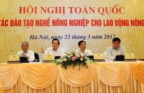 Hội nghị toàn quốc về đào tạo nghề nông nghiệp cho lao động nông thôn 