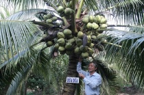 Nông dân hỗ trợ nhau thoát nghèo, làm giàu ởhuyện Chợ Mới