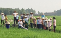 Huyện Thanh Thủy: Đào tạo nghề gắn với phát triển kinh tế - xã hội