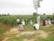 Nhìn lại hiệu quả công tác dạy nghề cho lao động nông thôn ở Bình Thuận