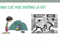 Thành phố Hà Nội triển khai chương trình phòng chống bạo hành học đường 