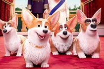 The Queen’s Corgi – Những chú chó Hoàng gia