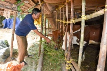 Sóc Trăng: Người cựu binh Khmer với nghị lực vượt khó ở Châu Thành