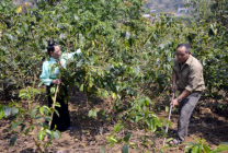 Người thương binh làm giàu trên mảnh đất Sơn La