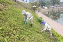 Sơn La tập trung đẩy mạnh công tác an toàn vệ sinh lao động