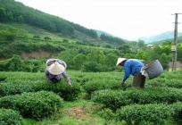 Tín dụng chính sách hỗ trợ giảm nghèo ở Lạng Sơn