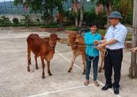 Quảng Bình huy động nguồn lực cho công tác giảm nghèo bền vững