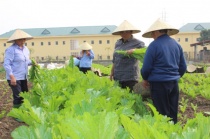 Trung tâm Điều dưỡng PHCN Tâm thần Việt Trì: Đảm bảo công tác môi trường, nâng cao chất lượng chăm sóc đối tượng