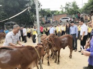 Ngành Lao động – Thương binh và Xã hội tỉnh Hòa Bình chủ động bảo đảm an sinh xã hội, góp phần phát triển kinh tế - xã hội bền vững ở địa phương