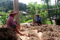 Hà Giang: Hỗ trợ đồng bào dân tộc thiểu số vươn lên thoát nghèo