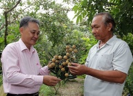 Trà Vinh: Hiệu quả từ phong trào thi đua “Cựu chiến binh gương mẫu” ở huyện Cầu Ngang