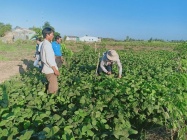 Sóc Trăng: Huyện Cù Lao Dung đẩy mạnh đào tạo nghề, giải quyết việc làm cho người lao động