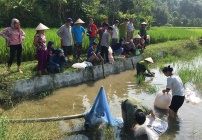 Đẩy mạnh tuyên tuyên Đề án đào tạo nghề cho lao động nông thôn ở Bắc Kạn